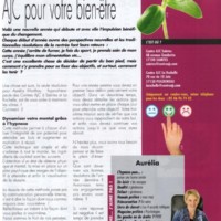 Vidici - Janvier 2015