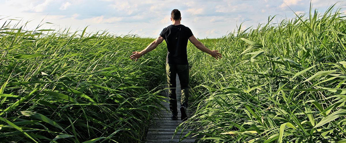 je n'ai plus de craintes grâce à ma visualisation positive